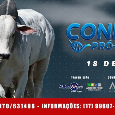 Conexão ACN