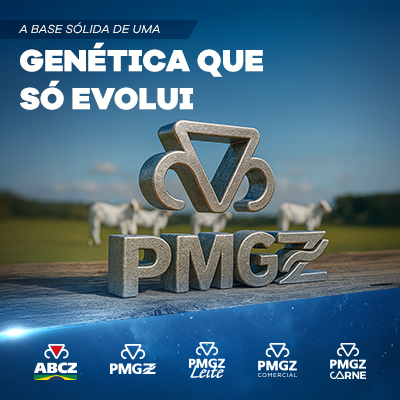 PMGZ