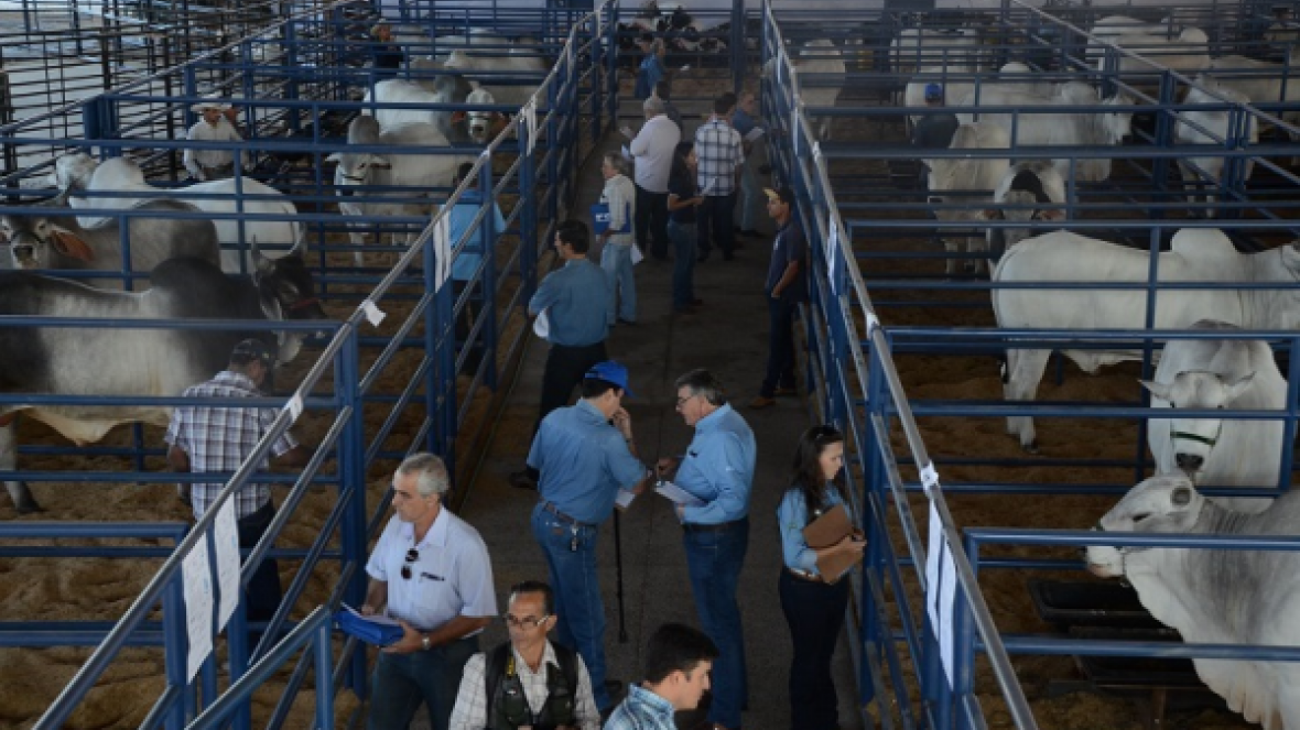 PNAT 2017 contará com teste de Eficiência Alimentar