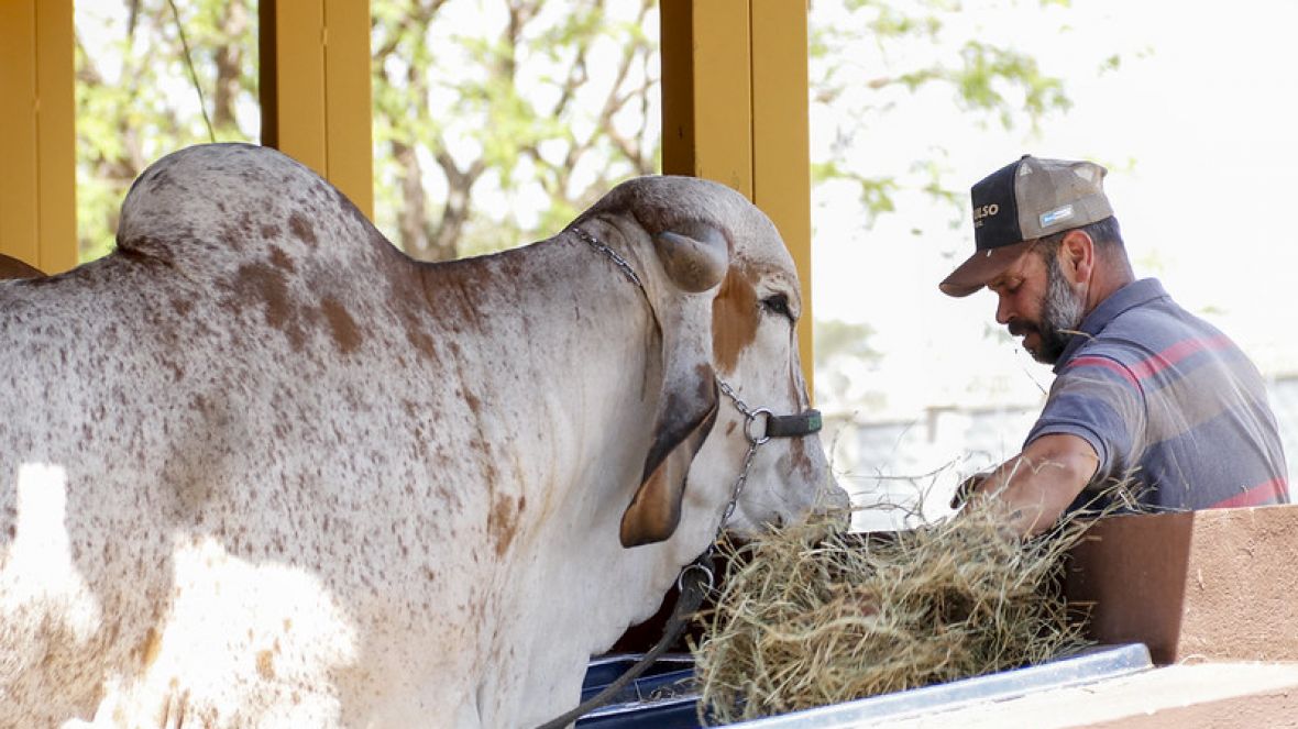 62ª EXPO Rio Preto entra em contagem regressiva para a primeira etapa da feira