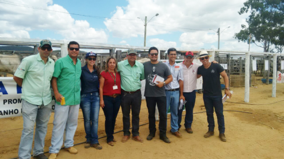 Pró-Genética comercializa mais de 80 animais em 10 dias