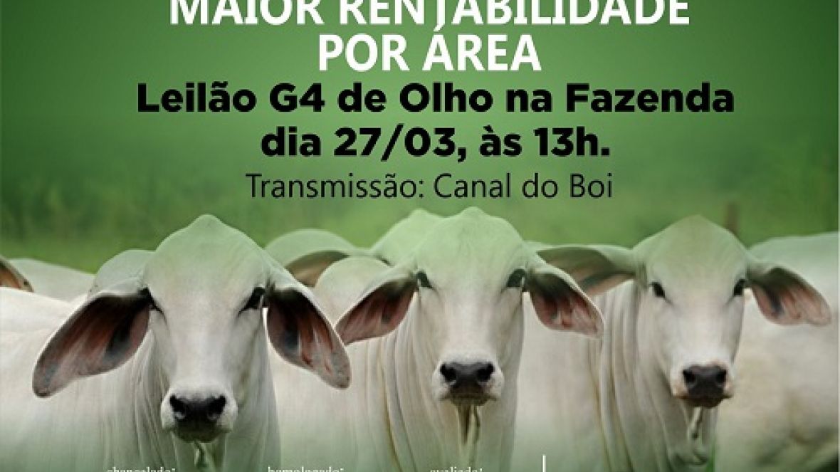 ?De Olho na Fazenda G4? começa no dia 22