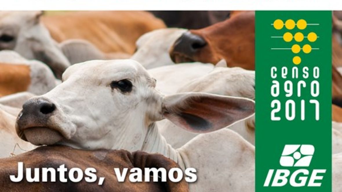 Censo Agropecuário já movimenta propriedades rurais em todo o país