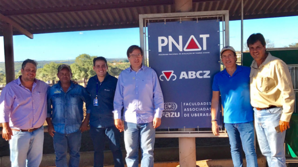 Criadores visitam touros que participam de prova do PNAT