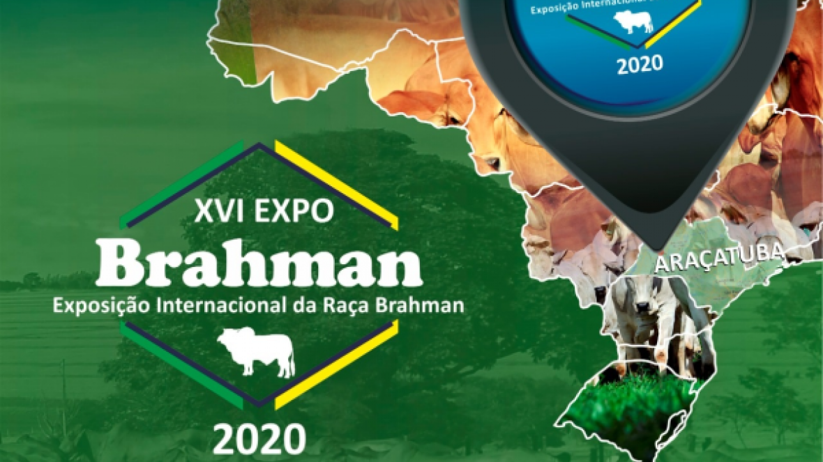 Inscrições abertas para a ExpoBrahman 2020
