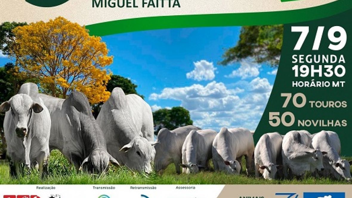'Leilão Virtual Fazenda Preciosa' acontece na próxima segunda-feira (07)