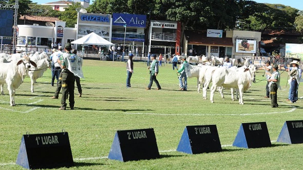 Abertas inscrições para ExpoZebu 2015