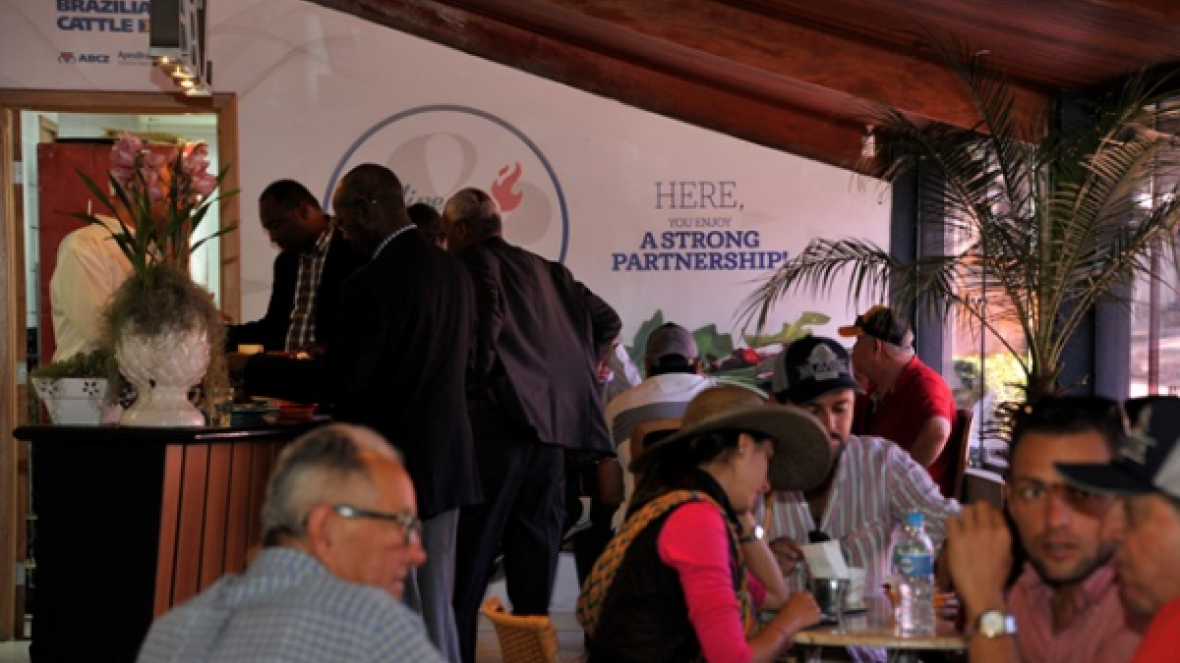 Visitantes de 20 países já passaram pelo Salão Internacional 