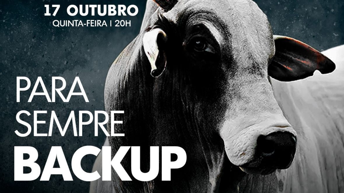 ABCZ TV retransmitirá live em homenagem a touro Backup, ícone da raça Nelore