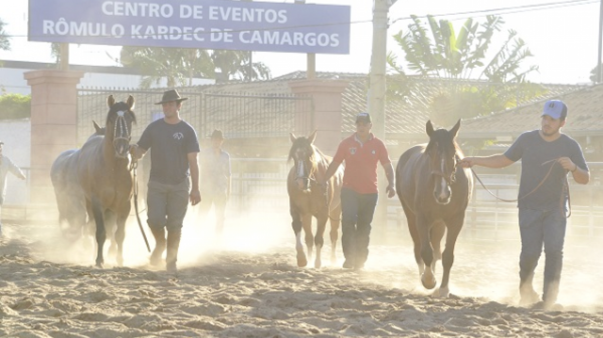 Os crioulos já estão no Parque Fernando Costa