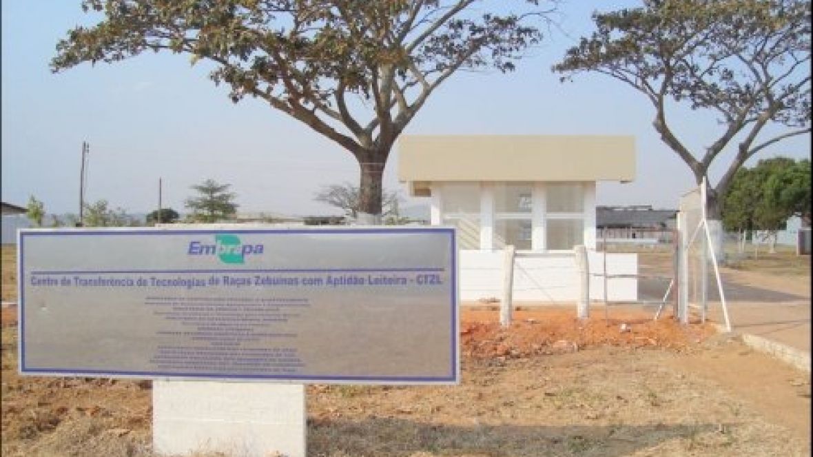 CTZL realiza curso sobre reprodutores zebuínos em setembro