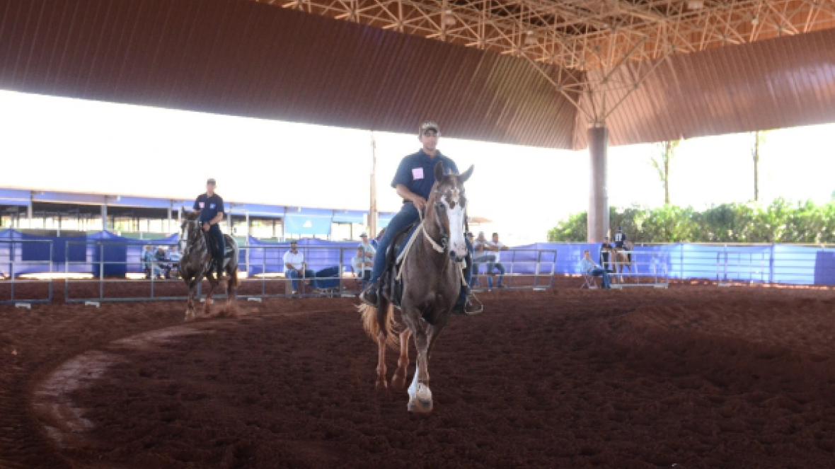 Vila Hípica movimenta ExpoZebu com show de cavalos Crioulo e Mangalarga
