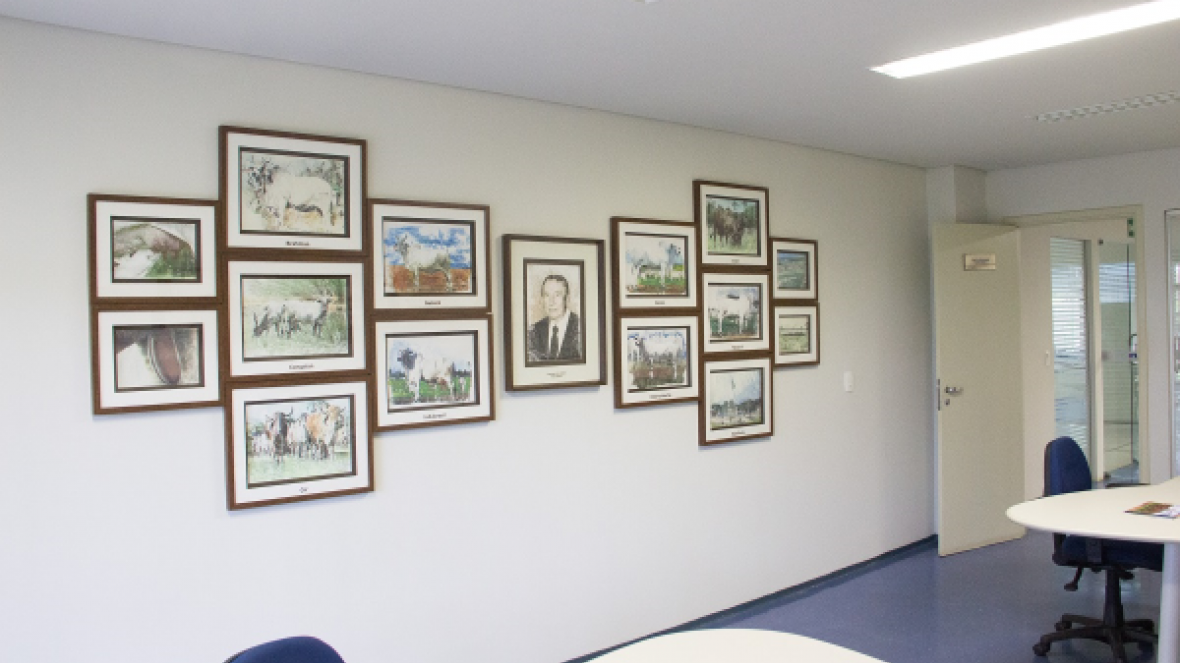 ?Sala do associado? ganha quadros de José Otávio Lemos