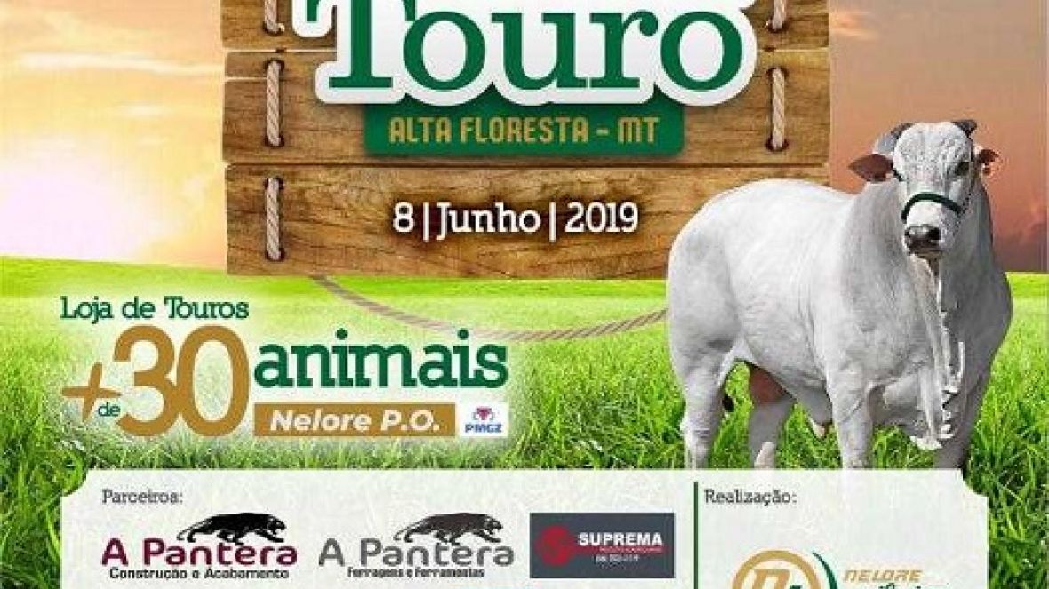 Nelore Leiria promove leilão com chancela do PMGZ