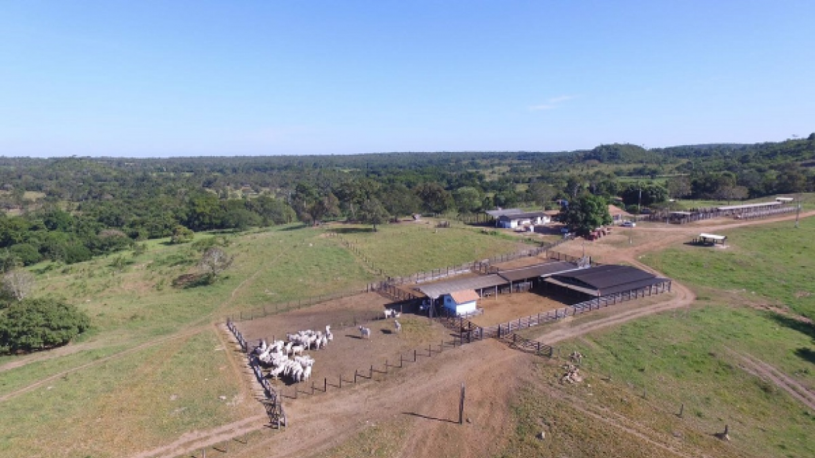 Criadores do Tocantins realizam PGP a pasto