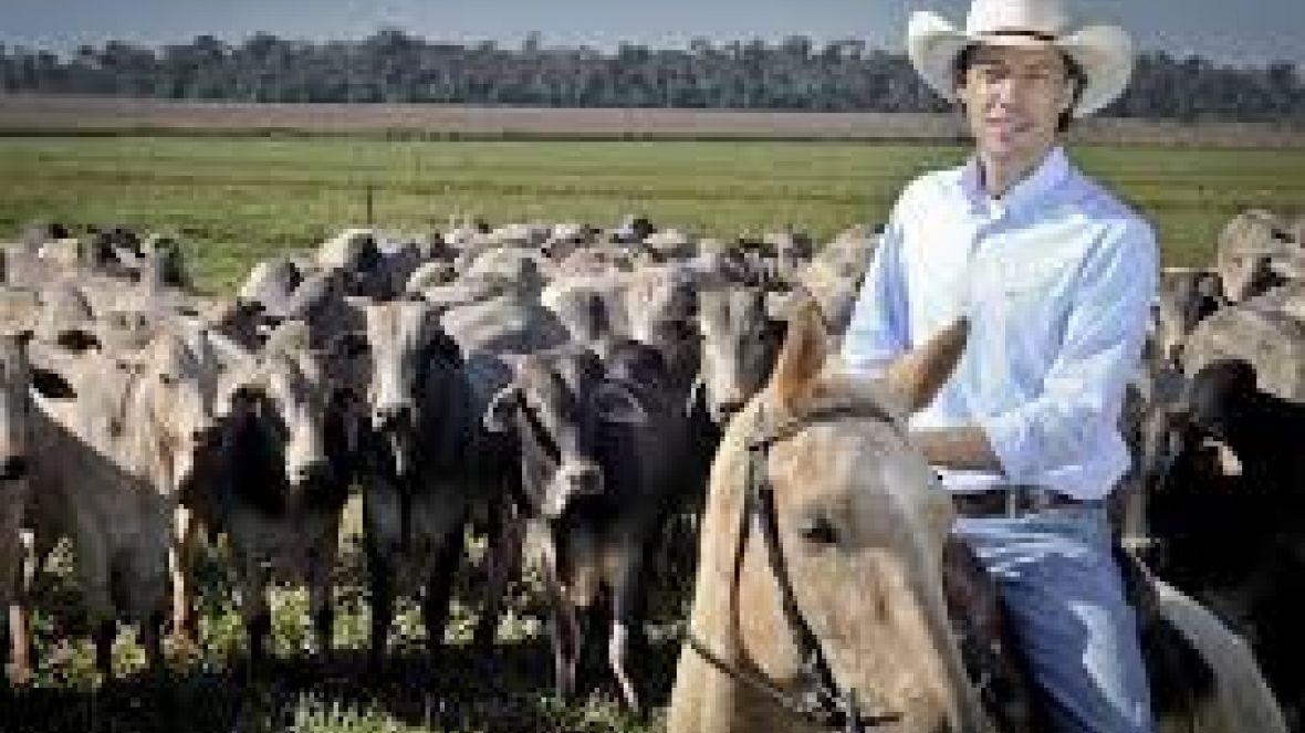 Conferência Global sobre Carne Sustentável acontece em SP 