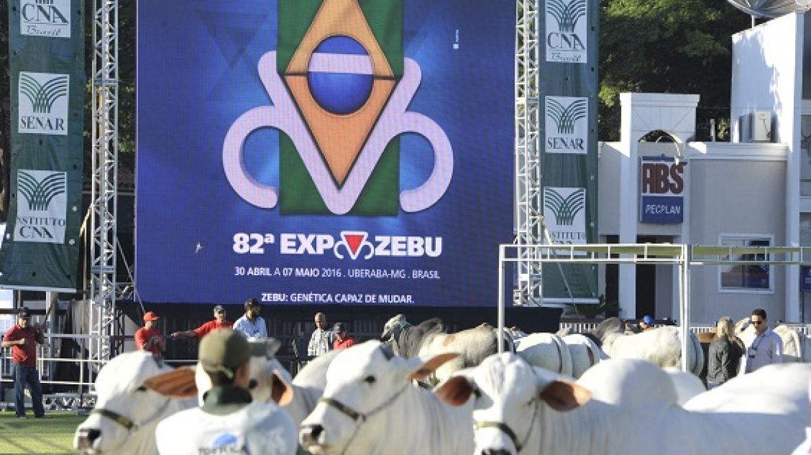 Genética zebu valorizada e desafios da pecuária movimentam a 82ª Expozebu