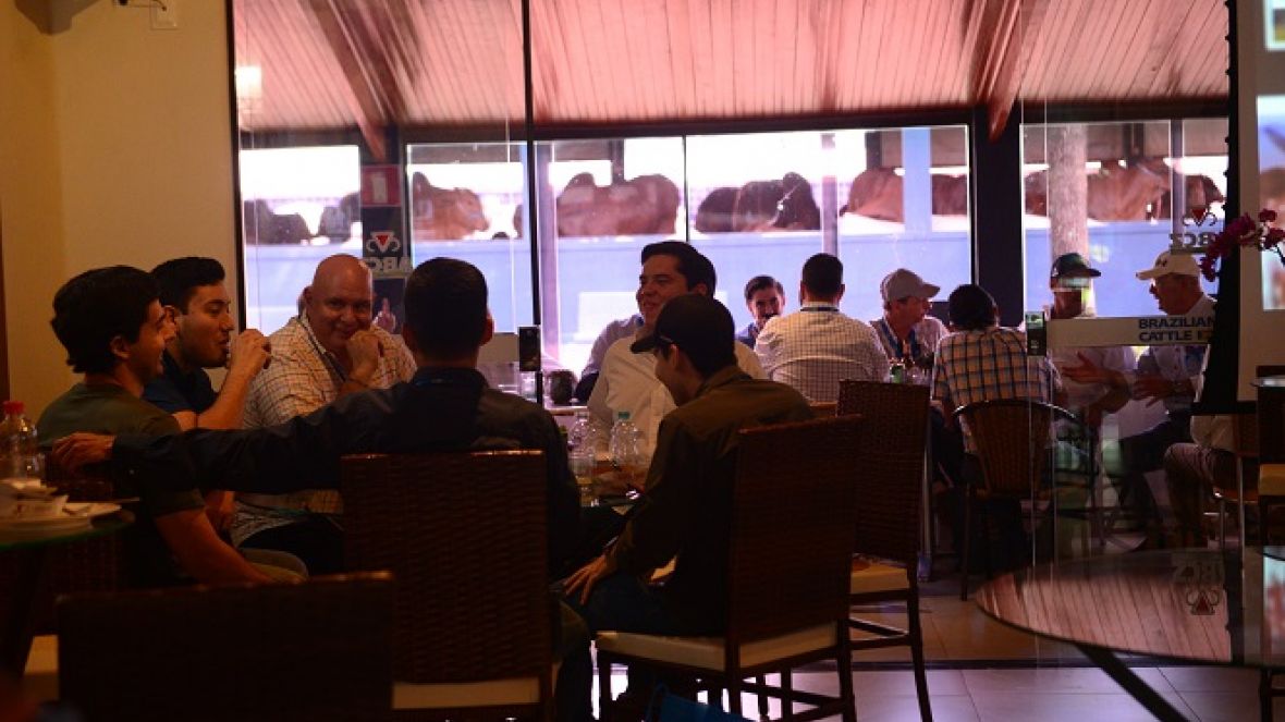 88ª ExpoZebu: edição bate recorde de visitantes internacionais