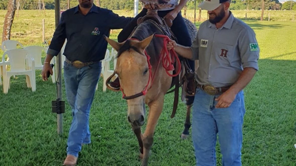 88ª ExpoZebu: Projeto Meu Amigo Animal movimenta ABCZ Equishow