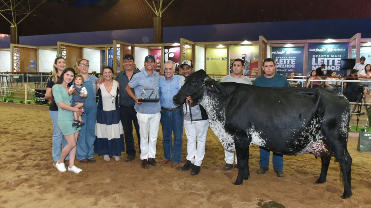 Vaca Girolando meio-sangue é a ‘Suprema’ da ExpoLeite 2023