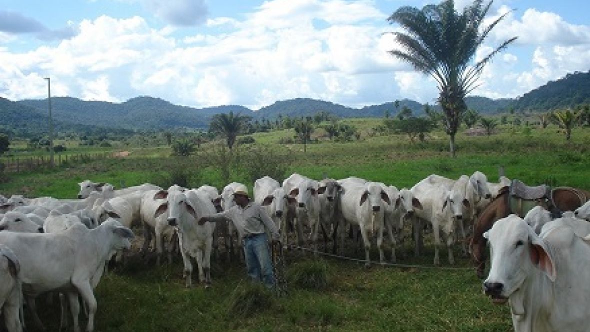 ABCZ ampliará agenda de cursos pelo Brasil