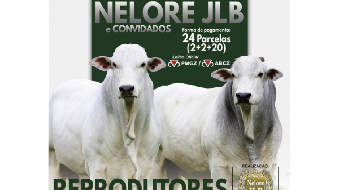 1º Leilão Reprodutores Nelore JLB e Convidados oferece touros com padrão Pró-Genética