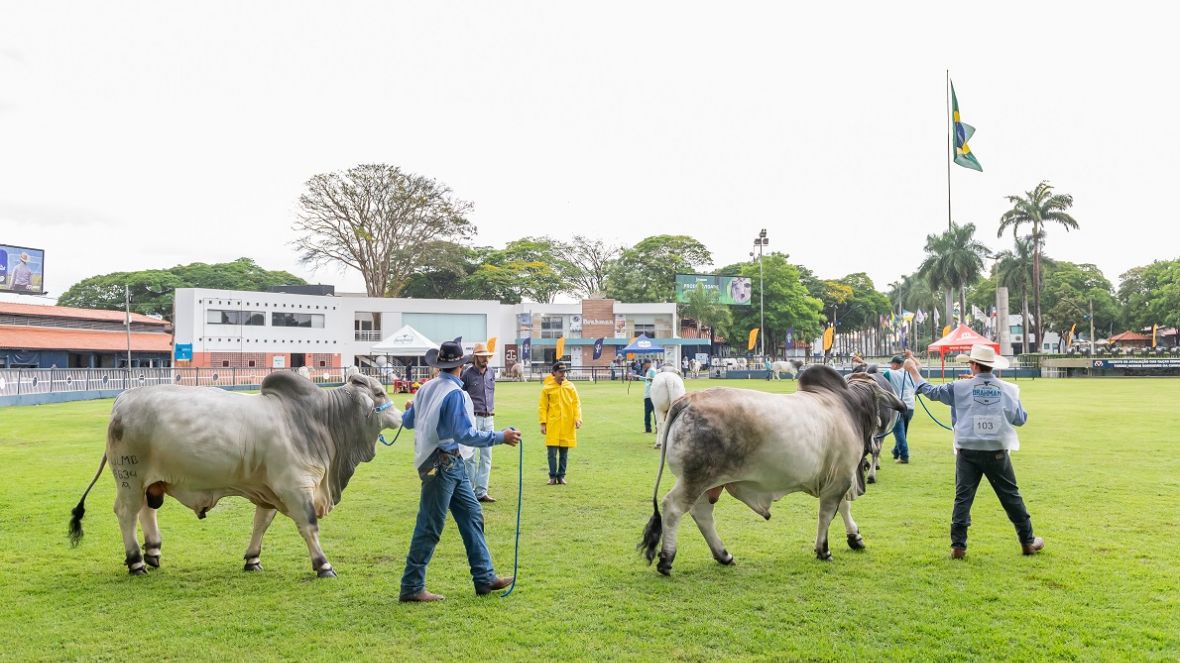 Abertas inscrições para a 21ª ExpoBrahman