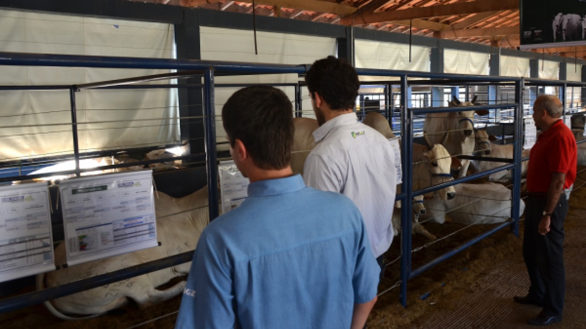 Inscrições para ExpoGenética vão até 31 de julho