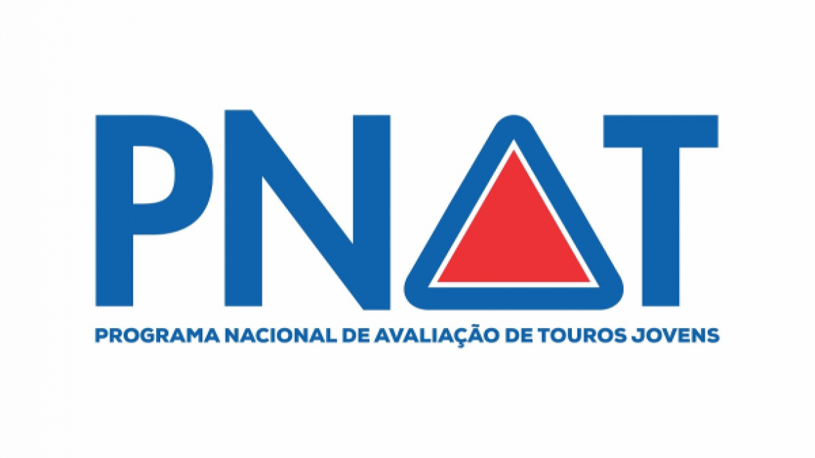 Touros participantes do PNAT são destaques nas avaliações genéticas do PMGZ Corte 2021/1