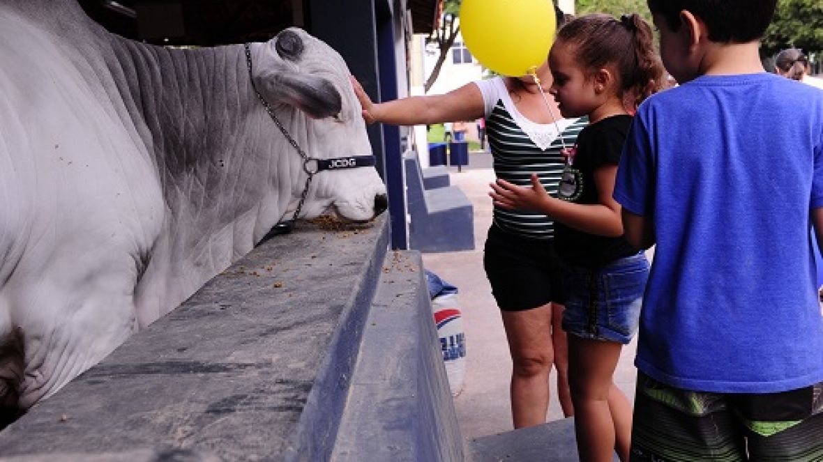 ExpoZebu: confira a programação para esta sexta-feira (03)