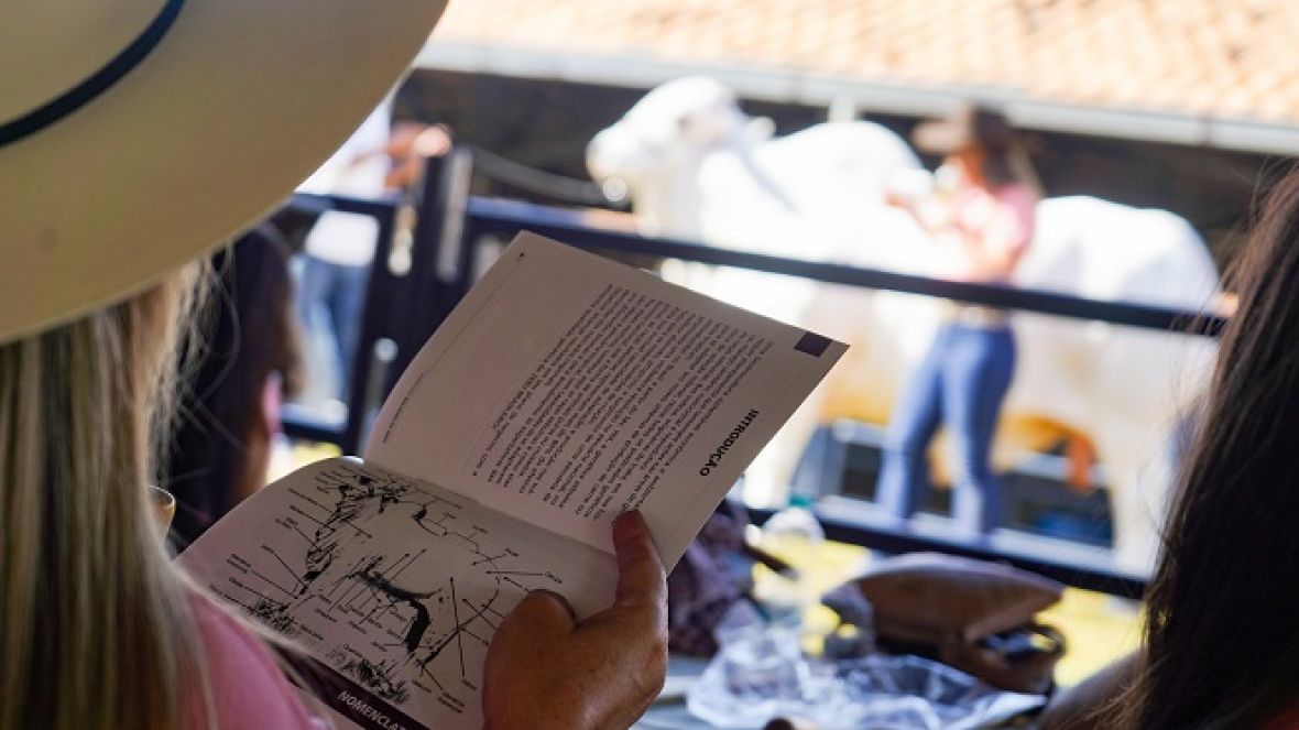 1º Workshop Mulheres do Zebu oferece conhecimento técnico para criadoras