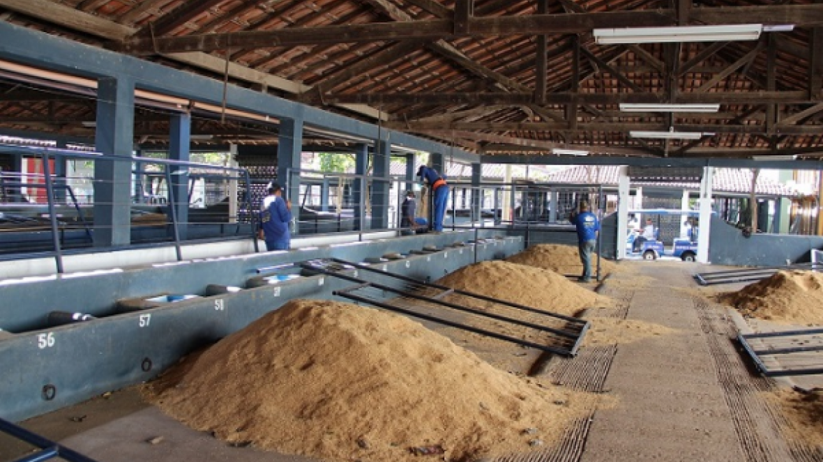 Preparativos para a ExpoGenética 2017 movimentam o Parque Fernando Costa