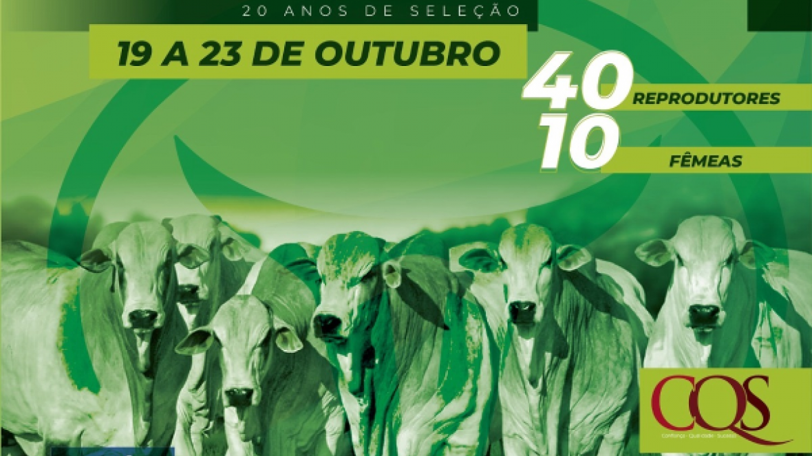 ?2º Shopping de Genética Teto Virtual? começa na próxima segunda (19)