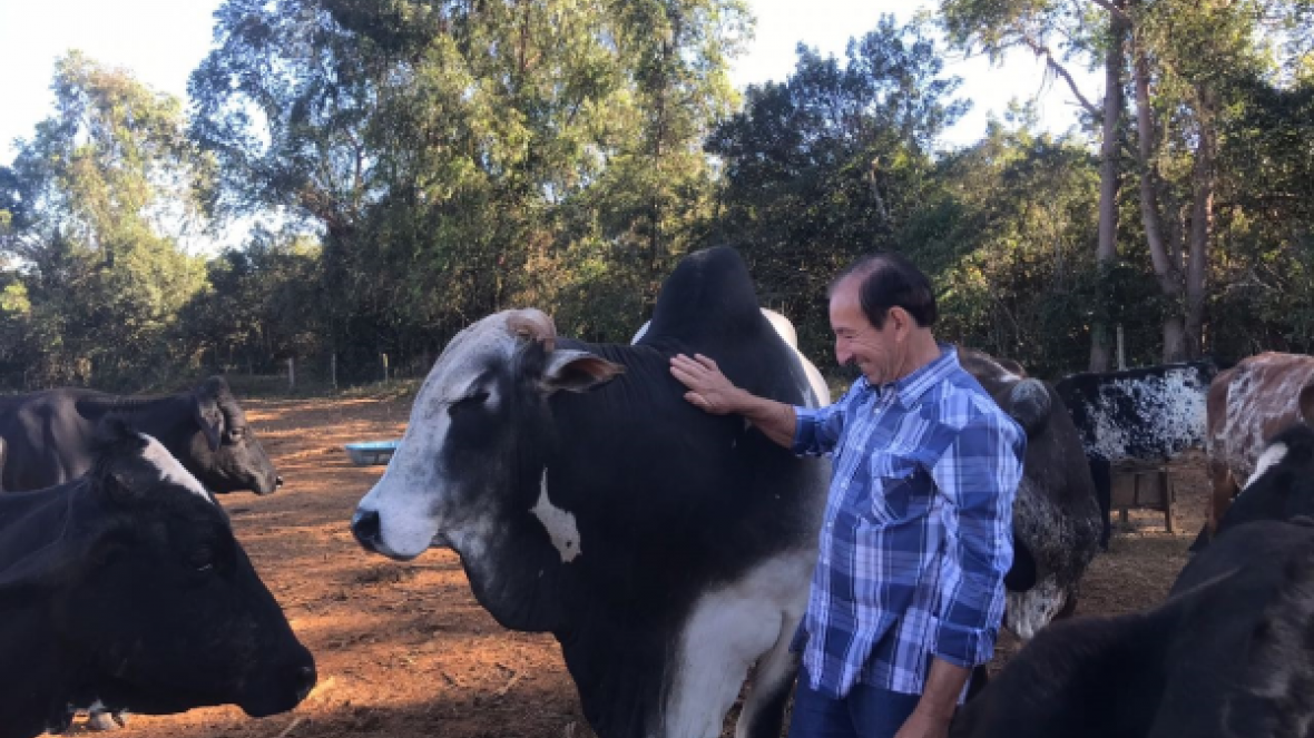 Produtores de Minas Gerais comemoram resultados do Pró-Genética
