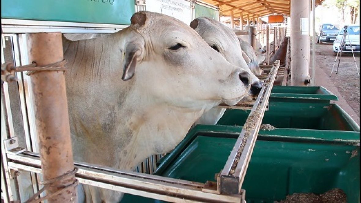 Divulgado o valor para a inscrição no PNAT 2018