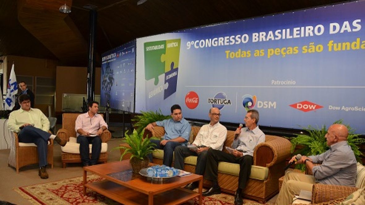 Eficiência alimentar na pecuária pode evitar em até 30% emissão de gás metano