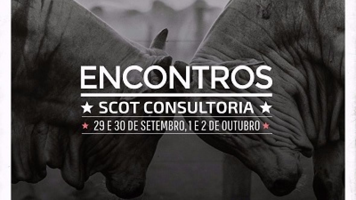 Adubação de pastagens, pecuária de cria e de leite são tema de encontro da Scot Consultoria