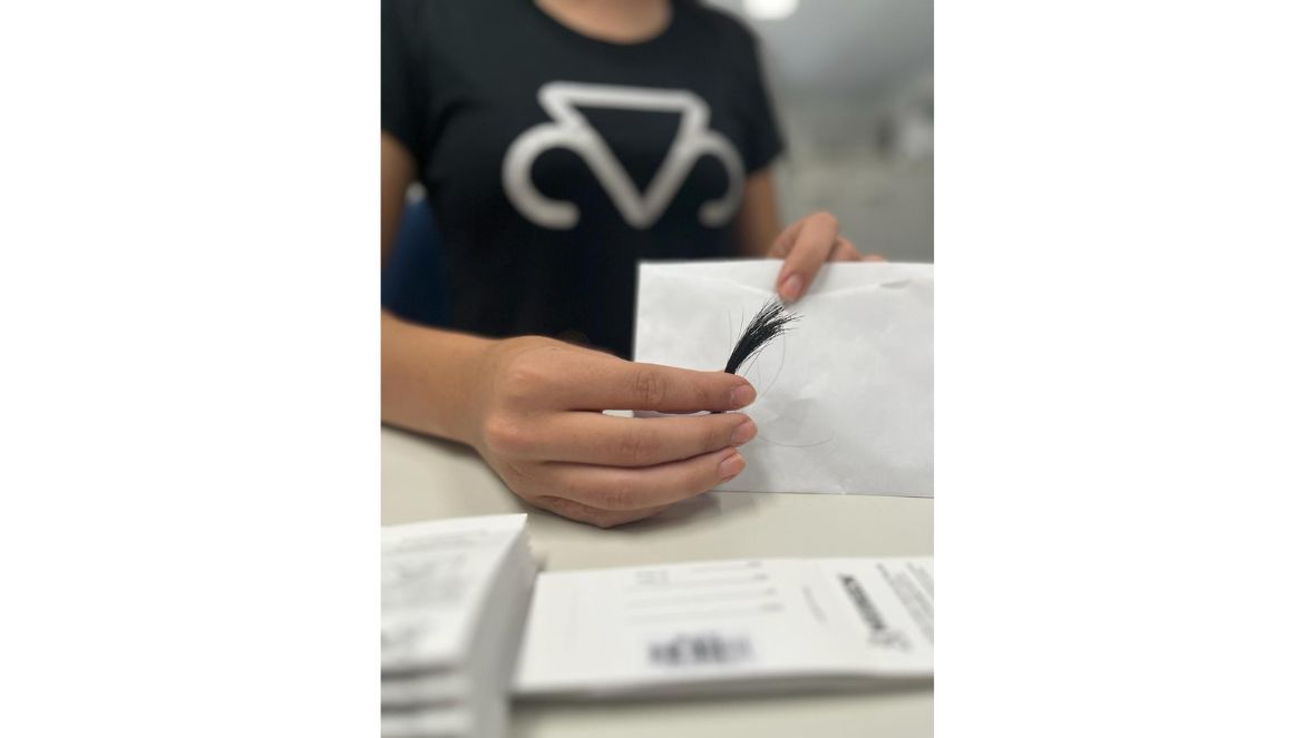 ABCZ passa a permitir rastreio em envios de amostras para genotipagem