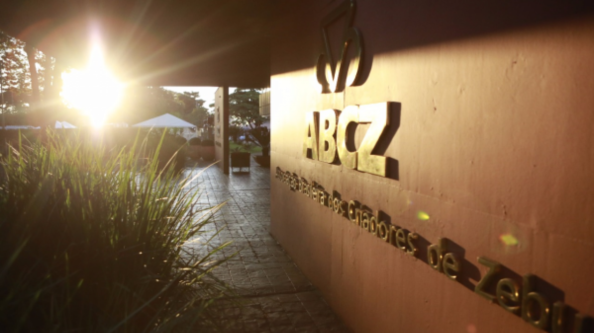 Outubro Rosa iluminará Parque Fernando Costa em alerta à prevenção ao câncer de mama