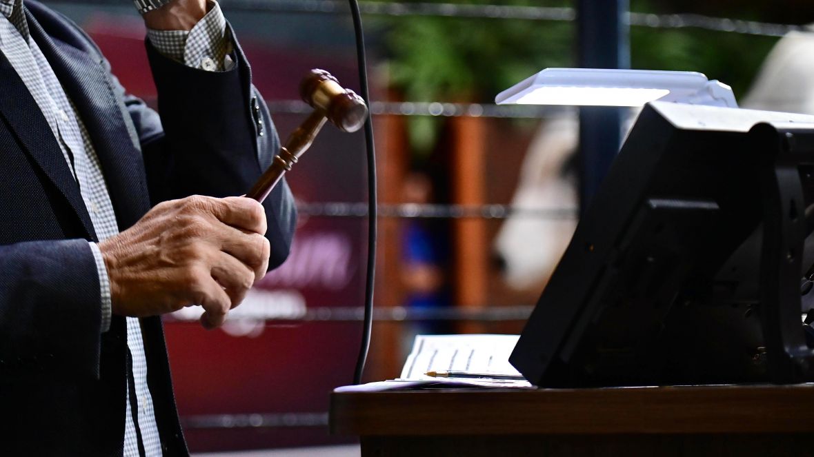 Leilões da 17ª ExpoGenética já movimentaram mais de R$ 31 milhões