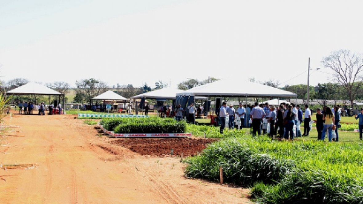 Dia de Campo da ExpoZebu Dinâmica viabiliza negócios e eleva público