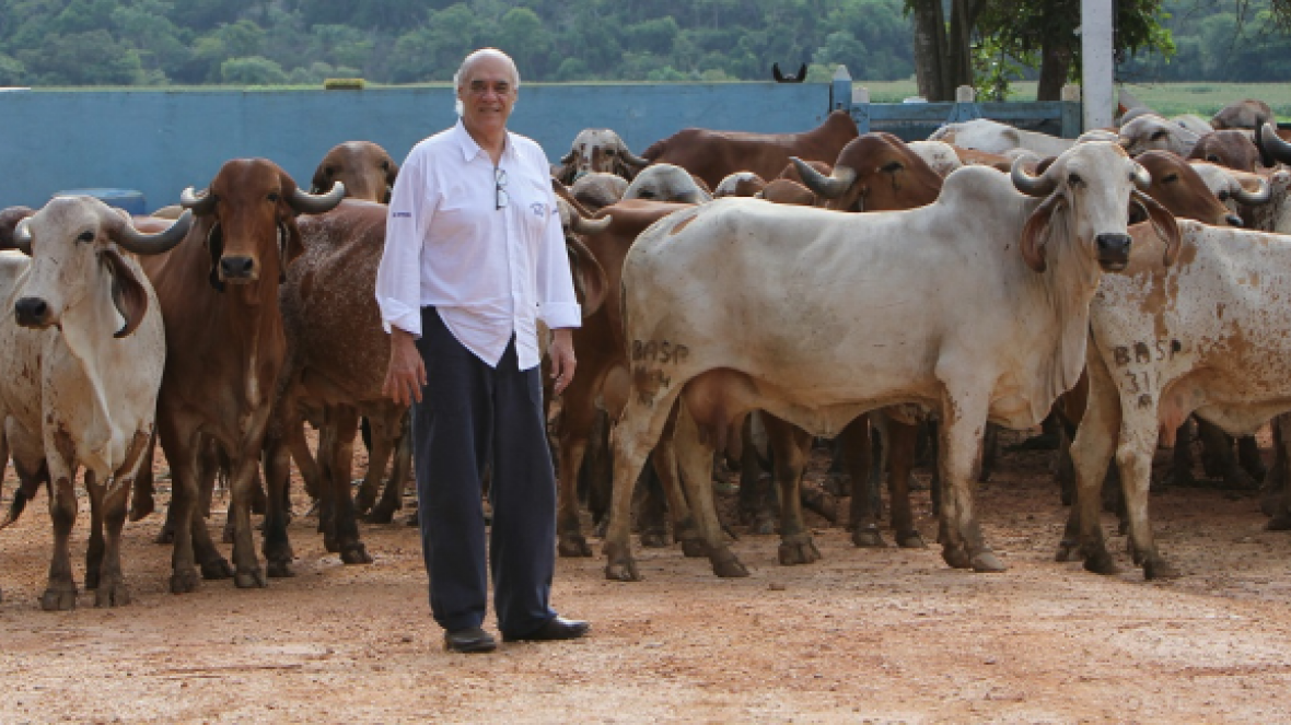 Guabi e Fazendas do Basa são novos associados do Brazilian Cattle
