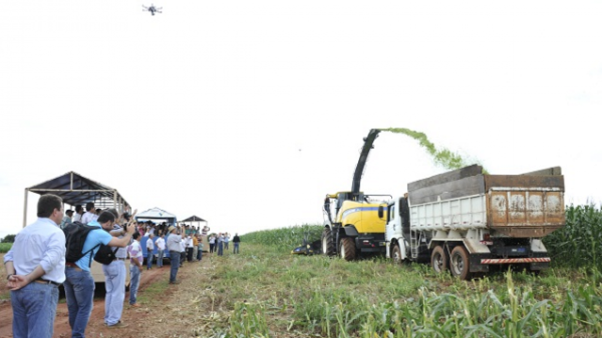 ExpoZebu Dinâmica apresenta novidades em 2016