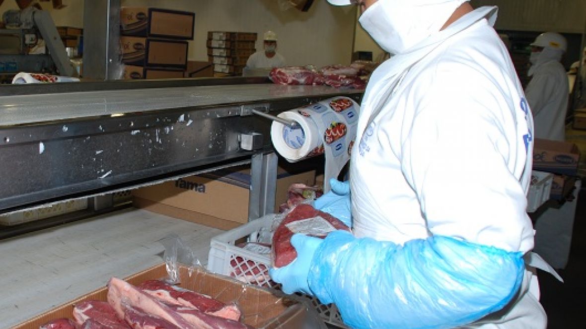 Decisão dos EUA abre mercado de carne bovina in natura para 13 estados e o DF