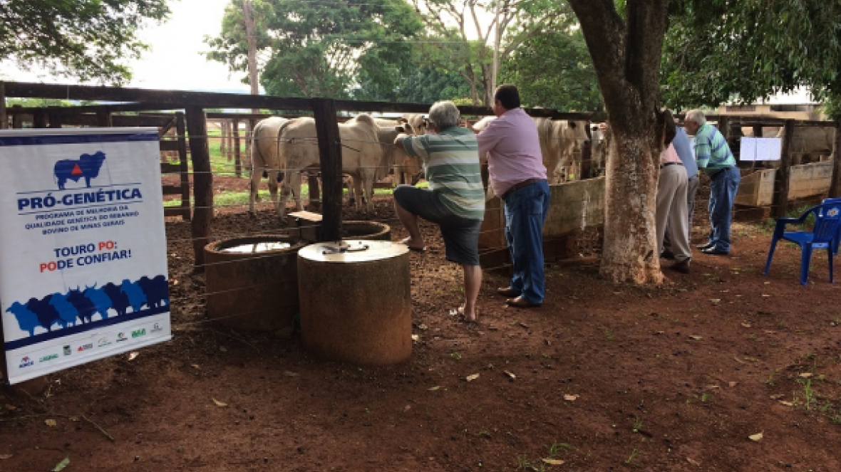 Encerrado o calendário Pró-Genética 2015 