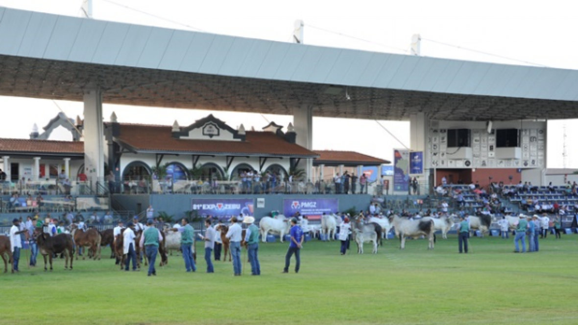 Definido o corpo de jurados da 82ª ExpoZebu 
