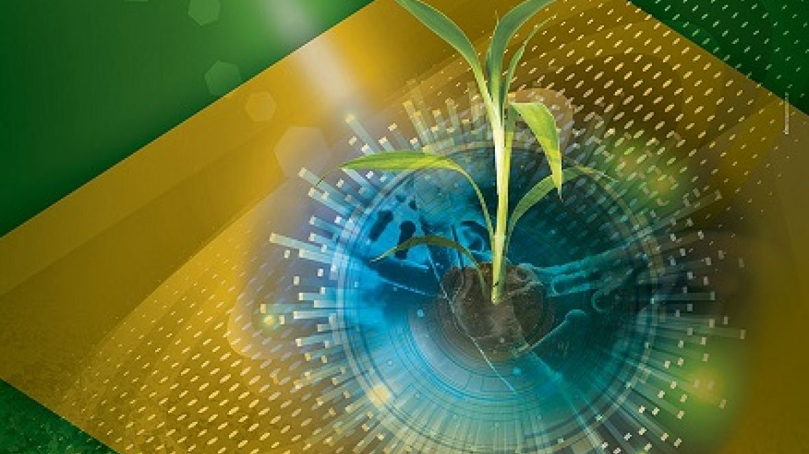 Workshop Brasileiro do Fertilizante tem início nesta quarta-feira