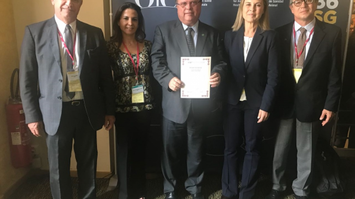 ABCZ comemora certificação do Brasil como livre de aftosa com vacinação