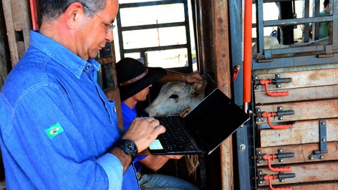 PMGZ lança nova ferramenta para análise intrarrebanho