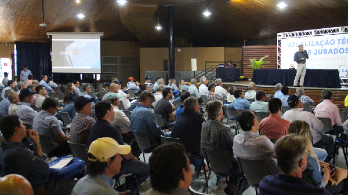 Cerca de 200 jurados passam por atualização na ABCZ